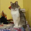 Отзыв от Полина Ткачева